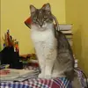 Отзыв от Алевтина Савицкая
